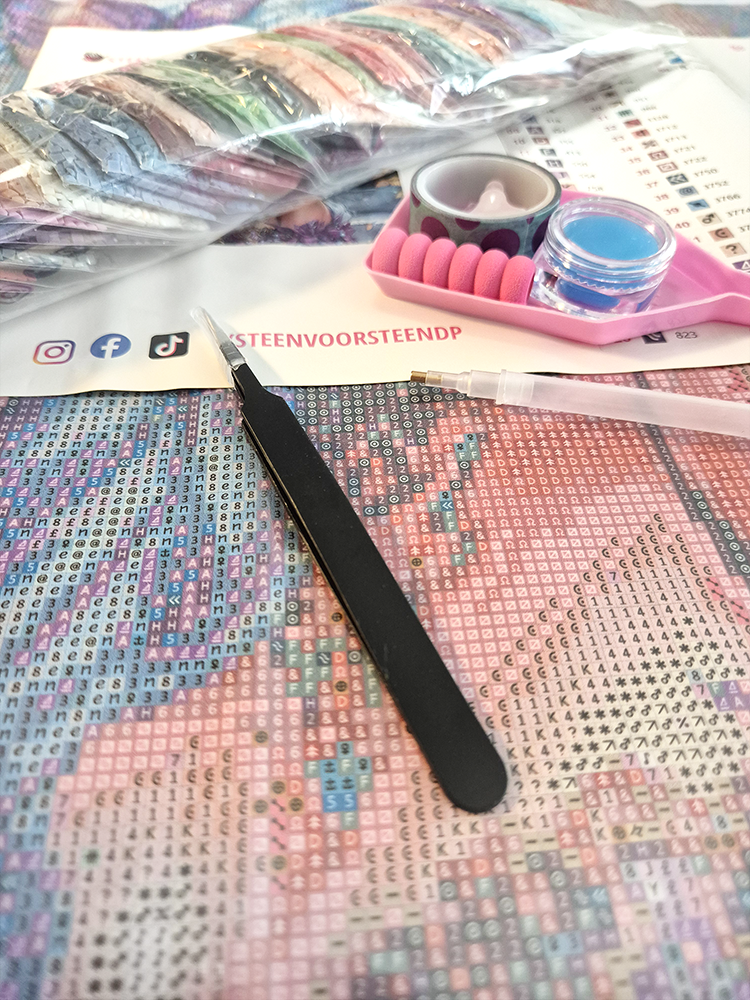 Steen voor Steen Diamond Painting