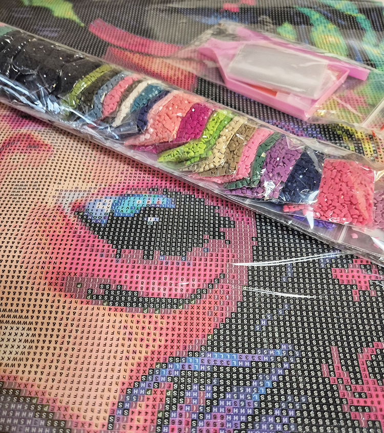Steen voor Steen Diamond Painting