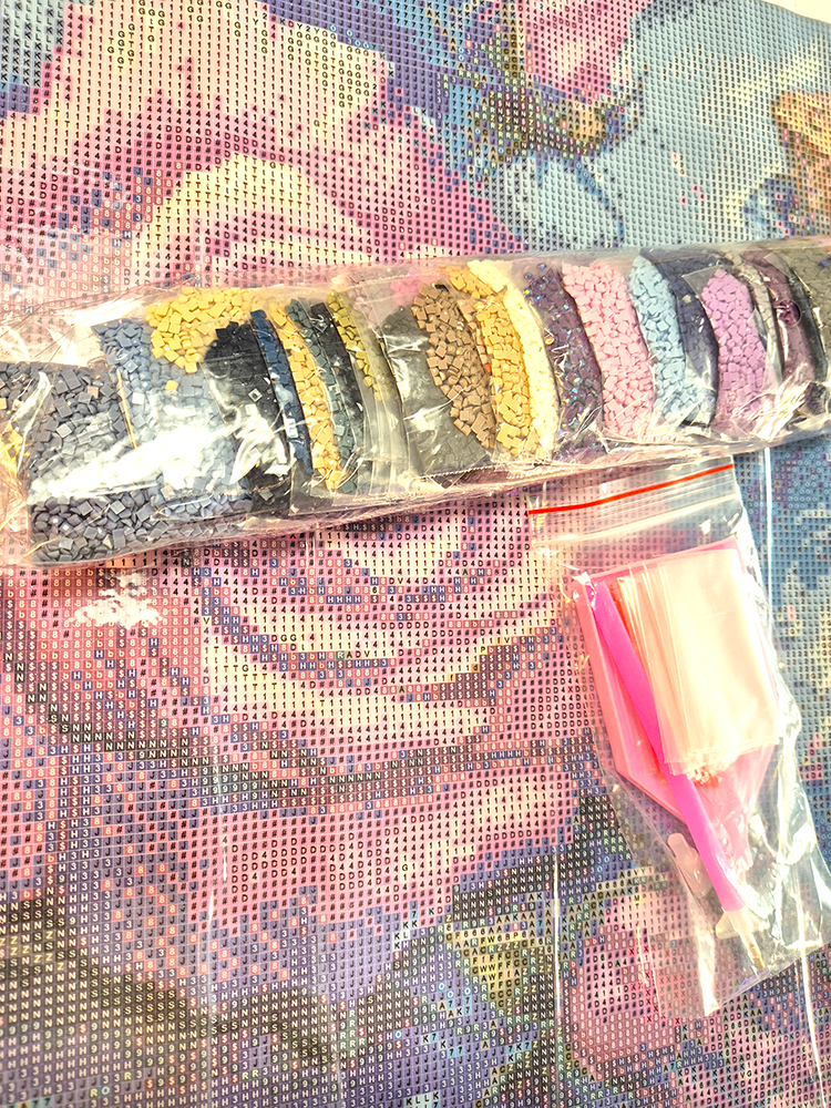 Steen voor Steen Diamond Painting