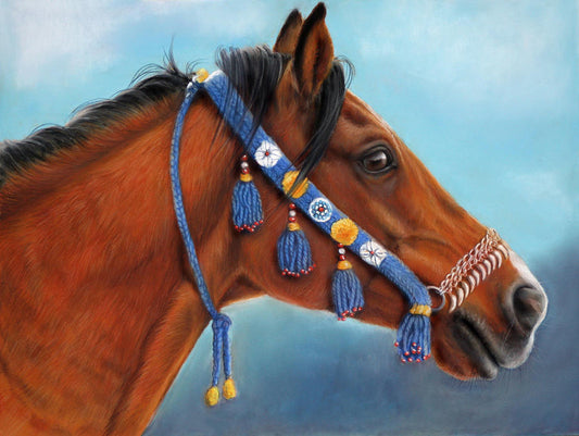 Arabisch Volbloed Paard