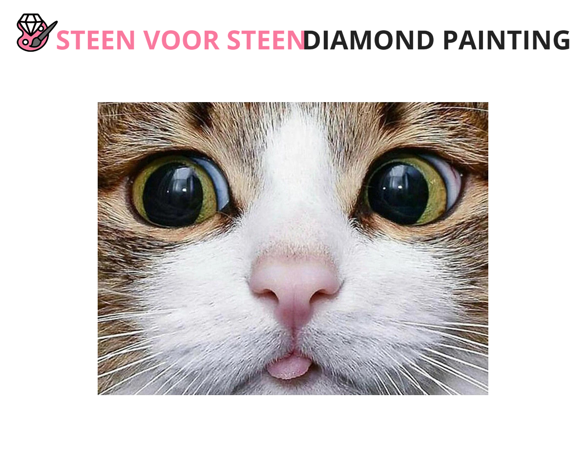 Kat met tong