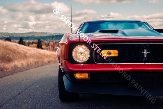 Auto Ford Mustang Rood