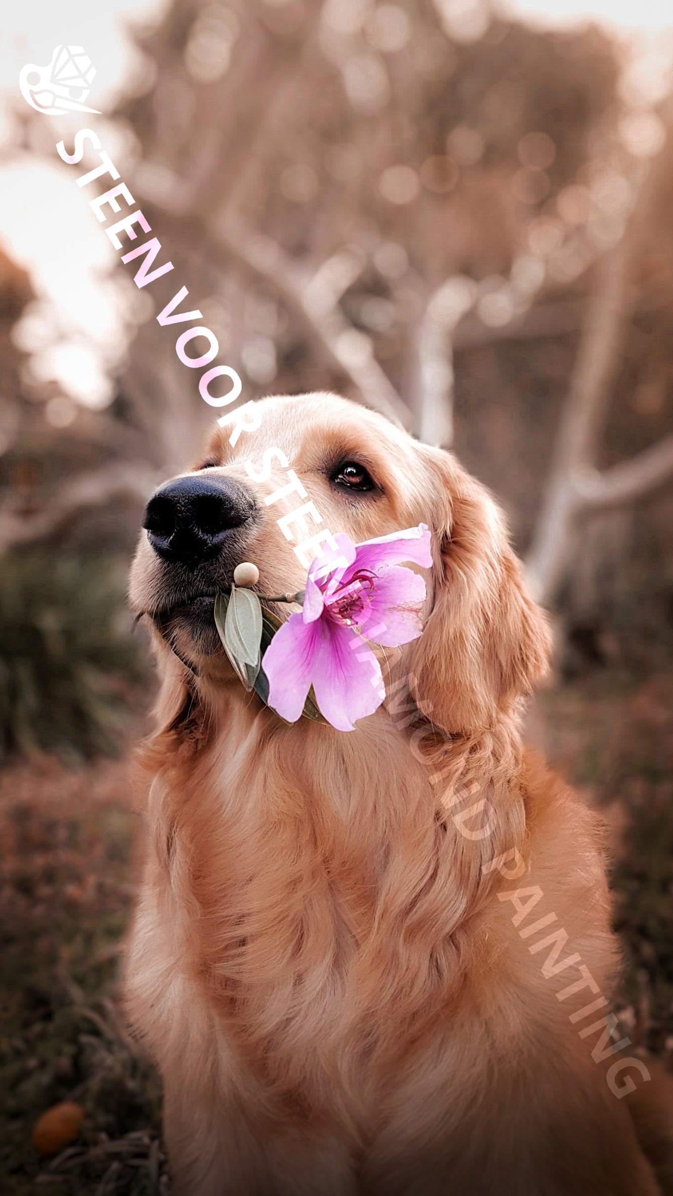 Hond Golden Retriever met Bloem