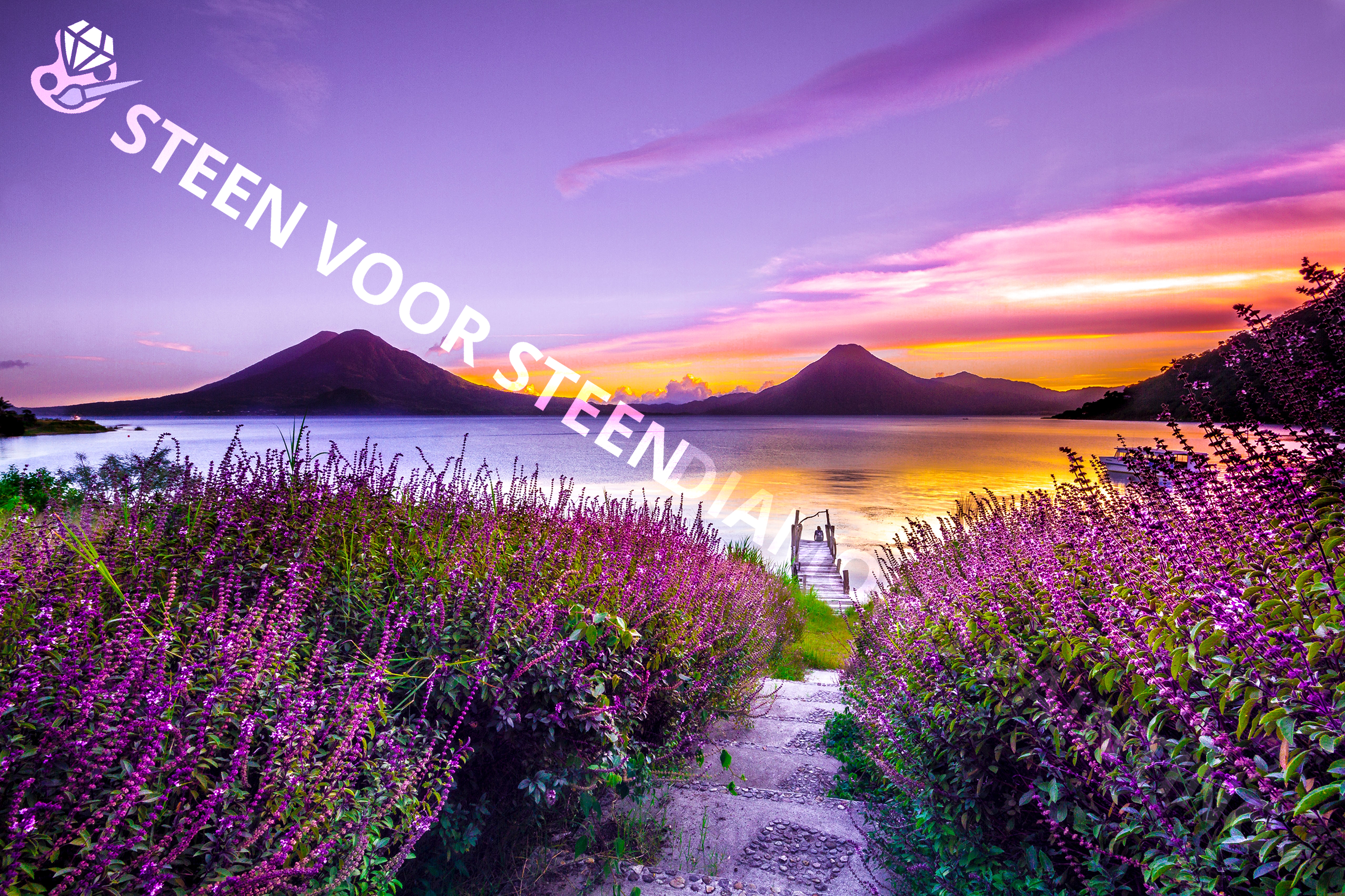 Landschap paars accent