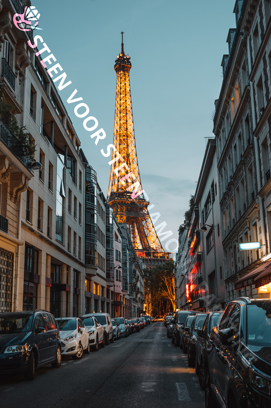 Parijs Eiffeltoren straat