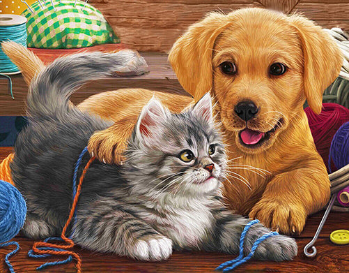 Puppy en kitten spelen met wol