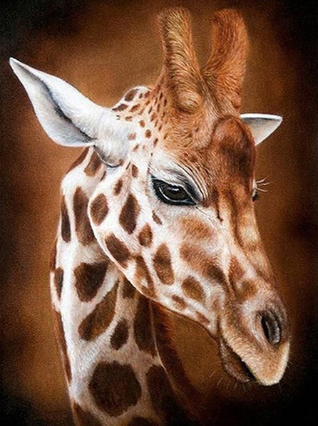 Giraf portret