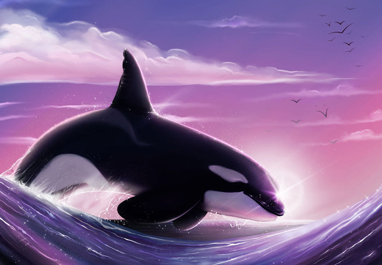 Orka bij zonsopkomst