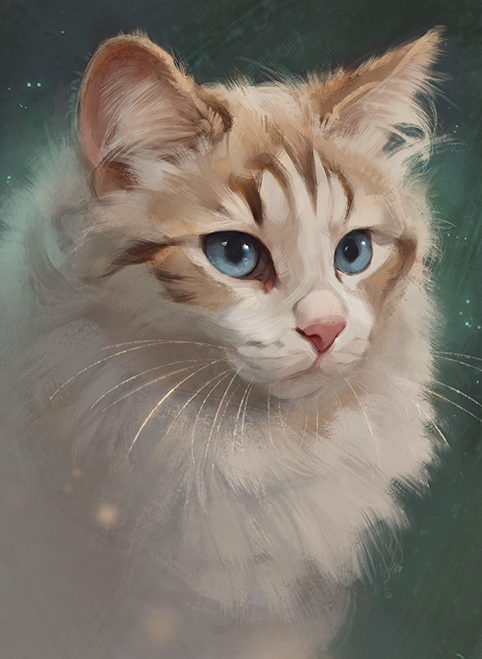 Kat portret